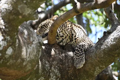 DSC_3959 (Large).JPG